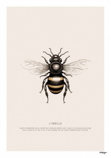 L'abeille Carte de vœux (x25)