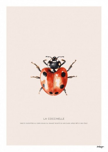 La coccinelle Carte de vœux...